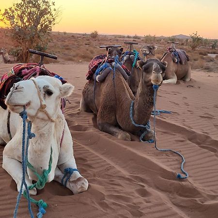 Desert Bivouac Mhamid Exterior photo