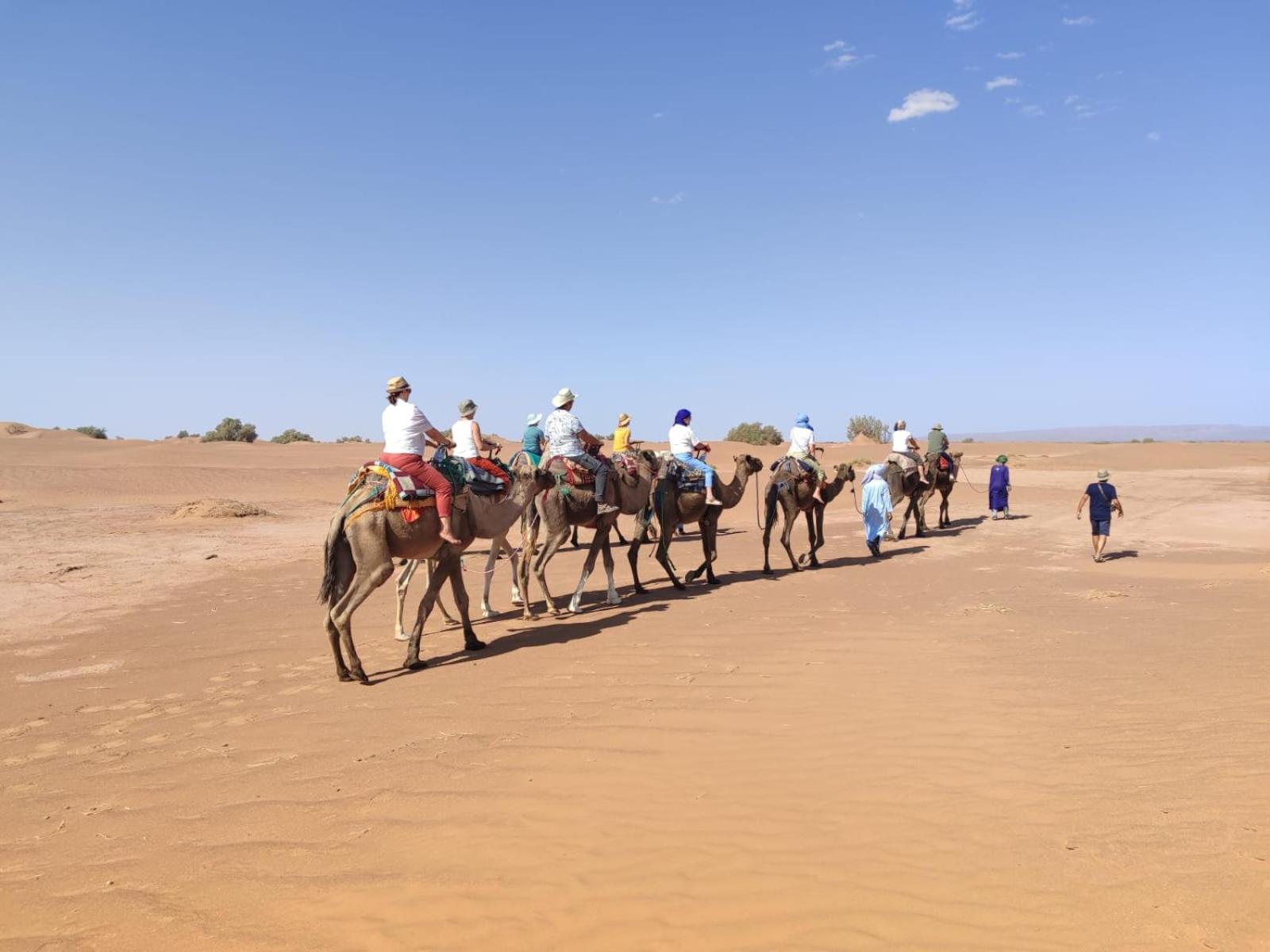Desert Bivouac Mhamid Exterior photo