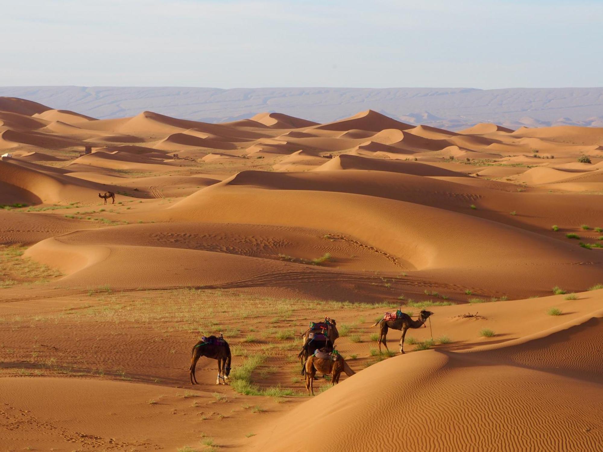 Desert Bivouac Mhamid Exterior photo